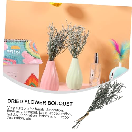 Ramo Seco Levemolo para Decoración DIY miniatura 5