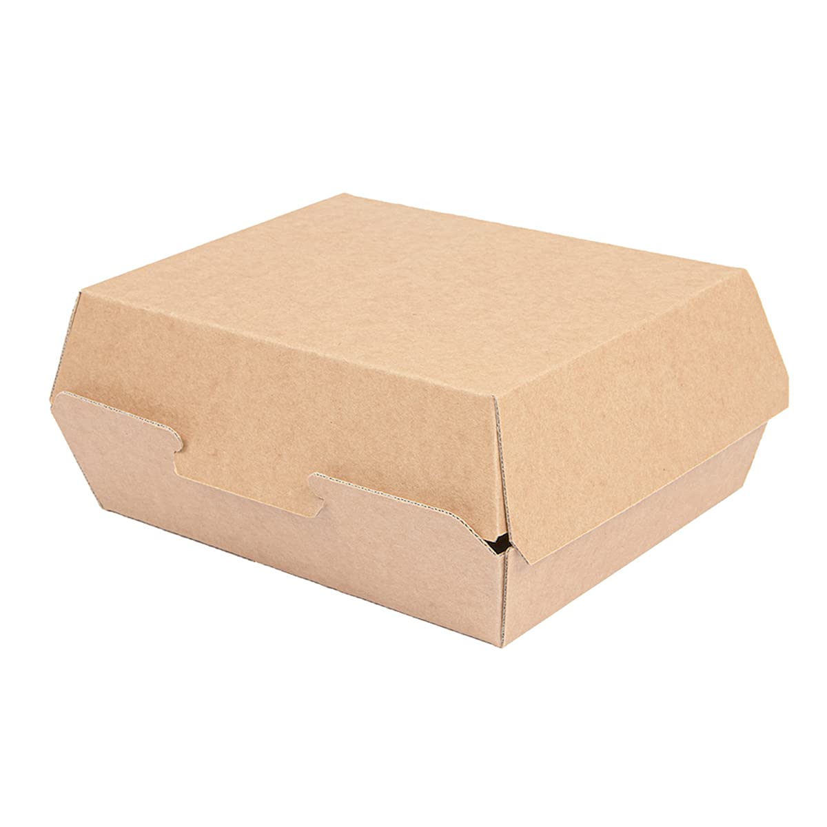 Lot de 50 boîtes « Lunch Box » « Thepack » 220 g/m² 22,5 x 17 x 8,5 cm Carton ondulé Nano-Micro