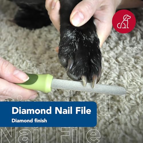 Coastal Pet Products DCPW6112, Safari-Diamant-Krallenfeile aus Edelstahl