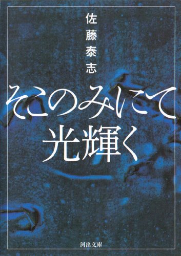 Amazon.co.jp: 佐藤 泰志: 本、バイオグラフィー、最新アップデート