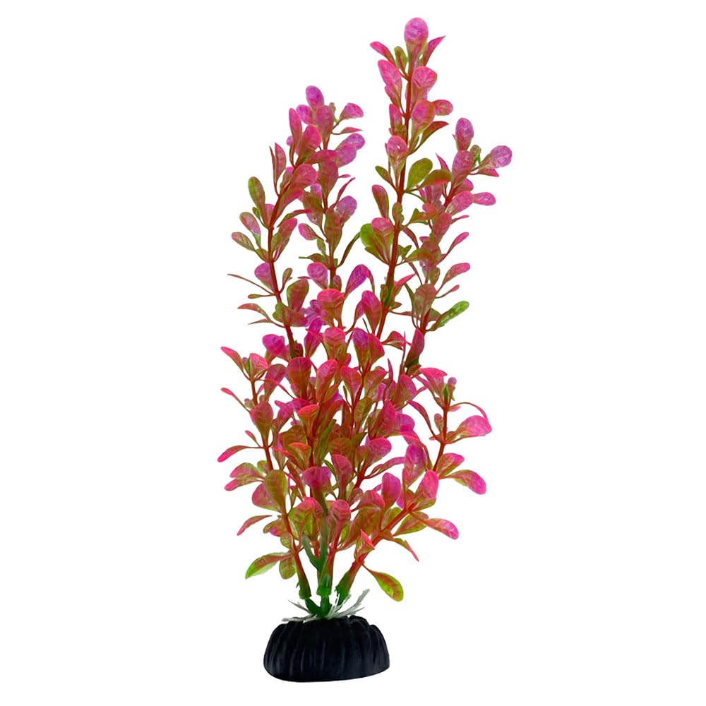 Swell Uk Pink Swell Moneywort Artificial Plant Aquarium Décor