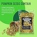 Oven Toasted Pumpkin Seeds with Sea Salt (Papitas) 16 oz (1 lb) Batch Tested Gluten & Peanut Free | No Oils | No PPO | Non GMO | Vegan and Keto Friendly | Premium Quality