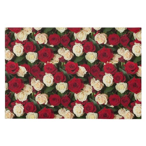 SAMAU  փ}bg  ԕ ӂӂ hA}bg DƂ ~ O Ɩp ItBXp ƒp 唻 60*90CM