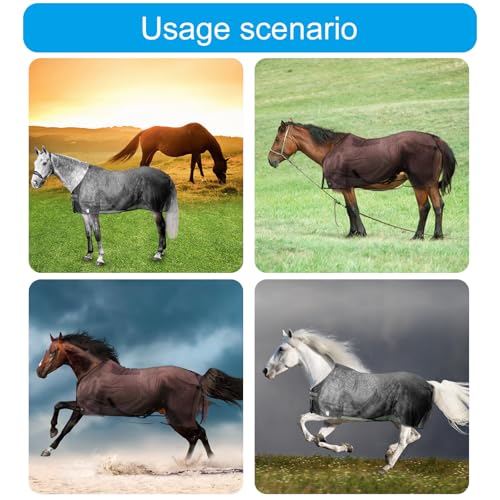 Malla de protección solar para caballo con cobertura transpirable de vientre 5