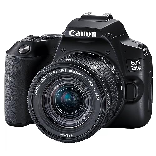 Canon EOS 250D Cámara DSLR con lente EF-S 18-55mm miniatura 2