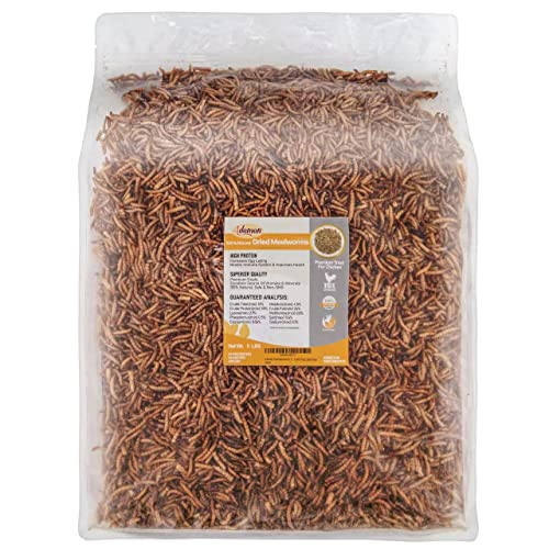 5 LB Bag of 100% Natural, Non-GMO, High-Protein Adaman Dried Mealworms