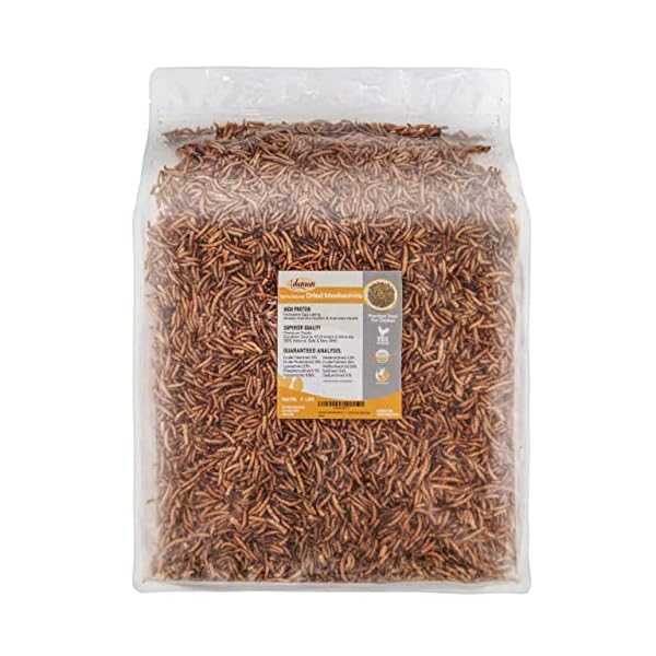 Adaman Dried Mealworms 5 LBS 100 Natural Non GMO High Protein