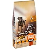 mejor comida seca para gatos Comida seca para perros adultos