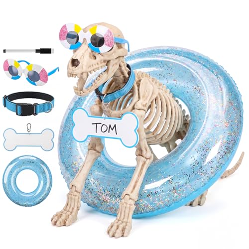Klyyo Clyro 4 Pcs Summer 7 ft Skeleton Dog Accessories Set Includes Inflatable Swimming Ring Sunglasses Collar Bone Tag for Pool Party Outdoor Garden Lawn Yard Decor(Skeleton Dog Not Included)