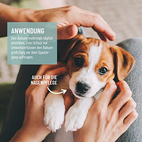 ReaVET Pfotenbalsam Hund & Katze 120ml – Natürliche Pfotenpflege mit Sheabutter, Kokosöl & Bienenwachs I Pfotenschutz Creme, Zubehör für Winter & Sommer