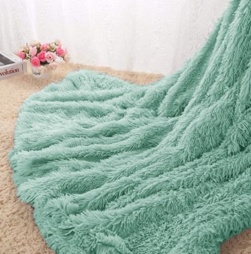 Image of Shaggy Faux Fur Fabric, Super Soft, 6 X 5 Feet (Light Green)