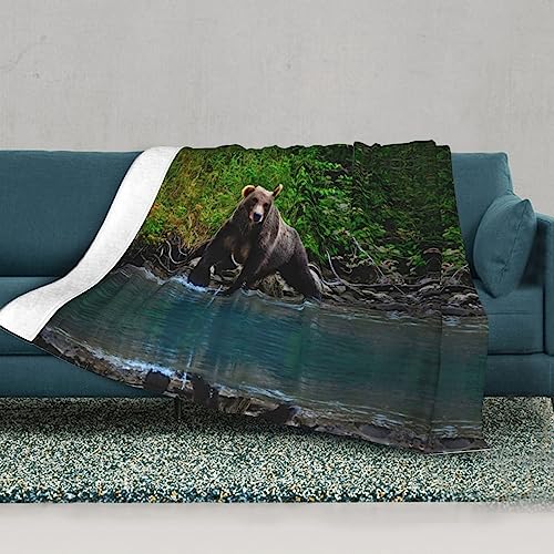 Couverture ours marron en peluche réversible pour lit et canapé - 3