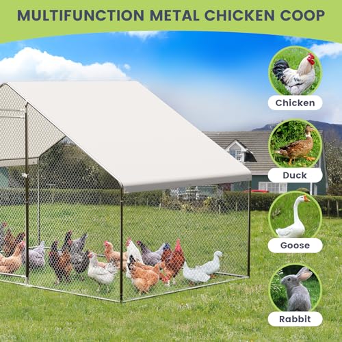 image for GarveeLife Large Metal Chicken Coop, Chicken Coop Run, Outdoor Chicken