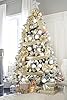 HUIHUANG Champagne Christmas Ribbon 2-1/2" Sparkle Metallic Glitter Wired Ribbon for Tree, Bows Making, Wreath Supplies, Gift Wrapping, Garland, Home Decor, Crafts -10 Yards #5