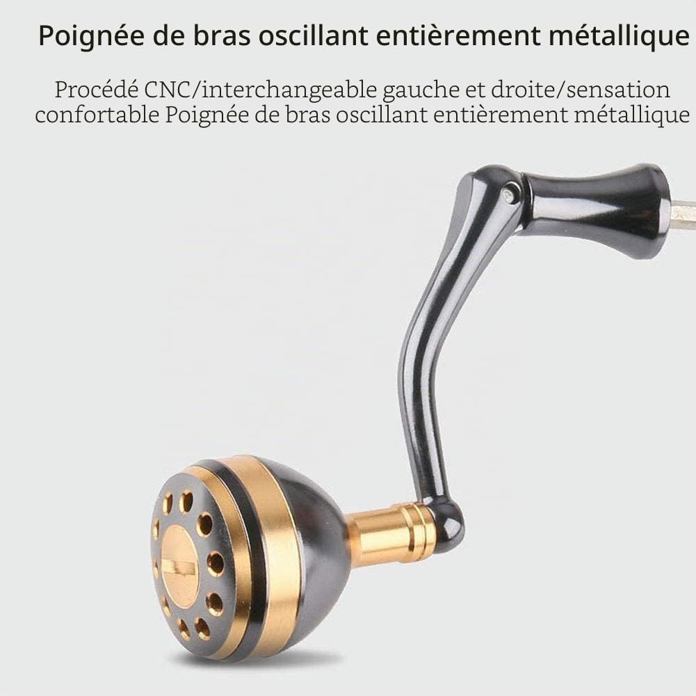 Moulinets Spinning en Eau salée Pêche en mer ReelEasy Casting Long Shot Full Metal Surf Moulinet de pêche Portant: 4 1BB Heavy Duty Moulinet de pêche à la traîne en mer