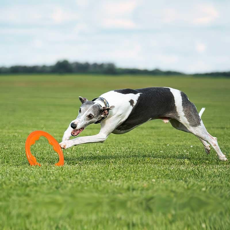 BIONIC Toss-N-Tug Turbo, Orange - Image 3