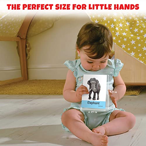 Image of Big Flash Cards for Kids: Animals | 32 Double-Sided Picture Cards, Durable & Water Resistant | Early Learning & Development Toy for Preschoolers & Toddlers 2-6 Years | Can Be Wiped Clean