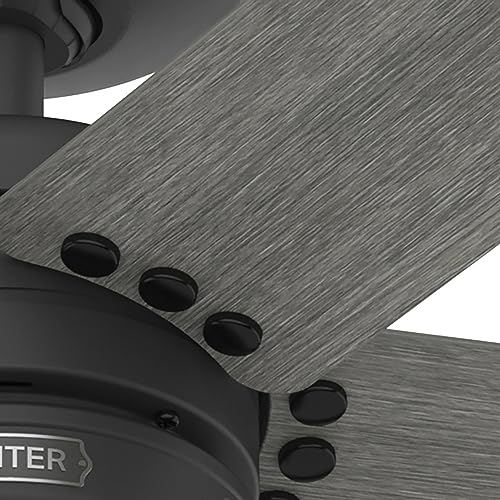 Image of Hunter Burton, Outdoor or Indoor, Ceiling Fan, 52 inch, Matte Black