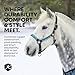 Kensington Premium Halter with Padded Nose Stronger Than Leather Padded Nose Piece Adds Comfort and Control Throat Snap for Identical Fit - X-Large, Black w/Deluxe Black