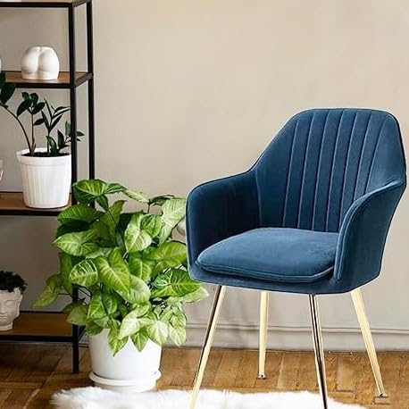 Image of Velvet Dining Chairs, Soft Cushion Seat Chair for Living Room Bedroom Restaurant Fabric DiningChair | Accent Chair for Living Room Bedroom Study Cafe Restaurant Pack 1 (Blue)