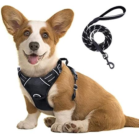 padded front walking harness