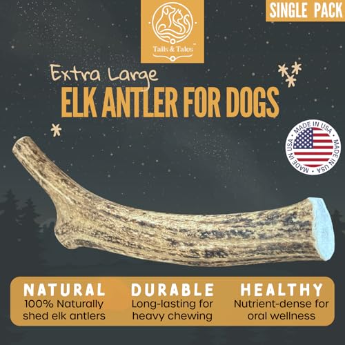 Image of X-Large Whole Elk Antler for Dogs, 8-10 inch Dog Bones for Aggressive Chewers