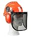OREGON Yukon Casque de Sécurité pour Tronçonneuse avec Protections Auditives et Visière en Maille d'Acier (562412)