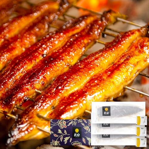 うなぎ蒲焼3尾(さんしょう・たれ付き)計450g以上 鰻 魚 魚介 加工品 国産