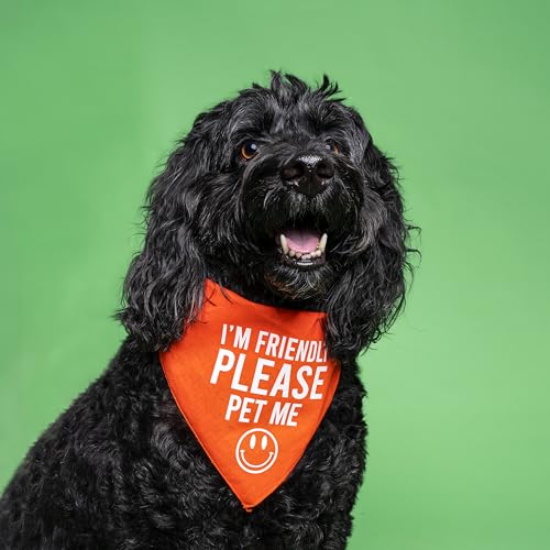 Bandana para perro triangular de colores con mensaje informativo cómodo 3