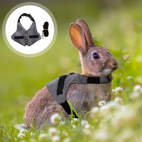 HOMOBABE amX[cR[gfUCETMn[lX \[ht pybgxXgŉK ƔLΉ