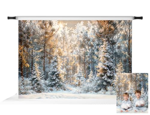 Toile de fond forêt de pins tissu décor de fond studio photo impression informatique