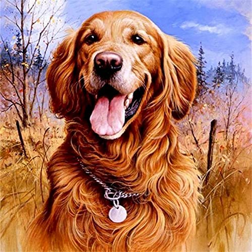 DIY Malen Nach Zahlen Hund – Ölgemälde Auf Leinwand 40x50 Cm – Kreativset Für Erwachsene & Anfänger