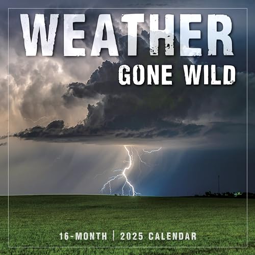 Calendrier mural Weather Gone Wild 2025 16 mois 12x12"