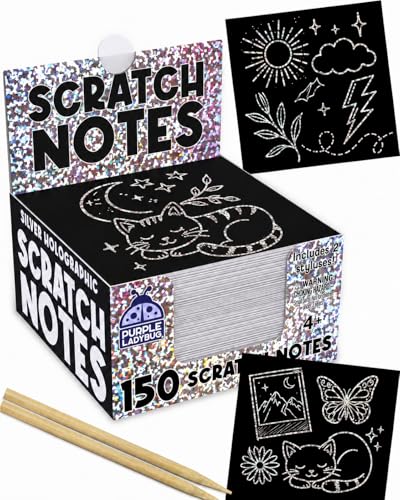 Purple Ladybug Silver Holographic Scratch Art Mini Notes - Scratch Art Notes Kids Games, Summer Activities for Kids, Teens, Boys, Gifts for Kid Arts & Crafts Supplies Summer Craft Kit