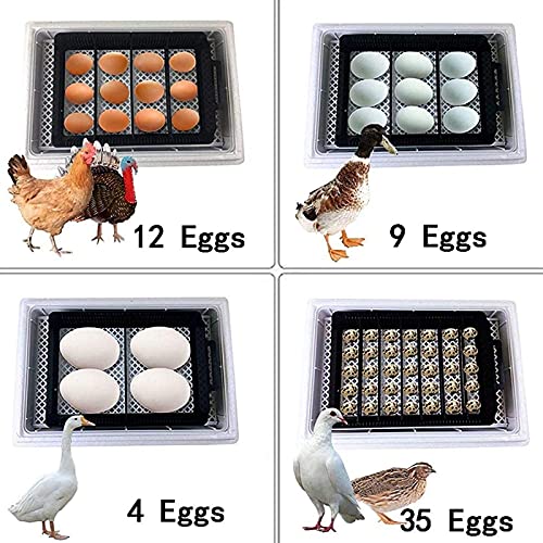 Digitale Automatische Incubators, Hatching Egg Incubator 12 Eits Incubator Machine met LED Display Poultry Hatcher voor… - Afbeelding 6