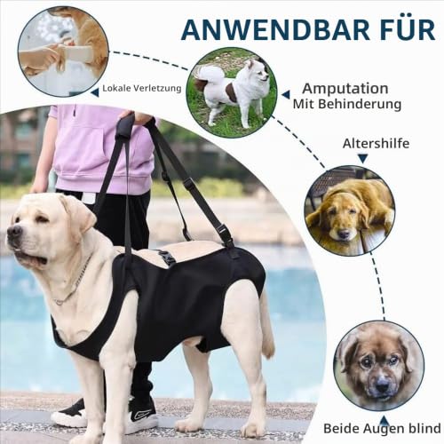 Tragehilfe Hund Treppe, Hundeliftgeschirr Mobilitätshilfen Einstellbar - Unterstützung für Mittelgroße Ältere Hunde Mit Schwachen Beinen, Chirurgie Rehabilitation (XL)