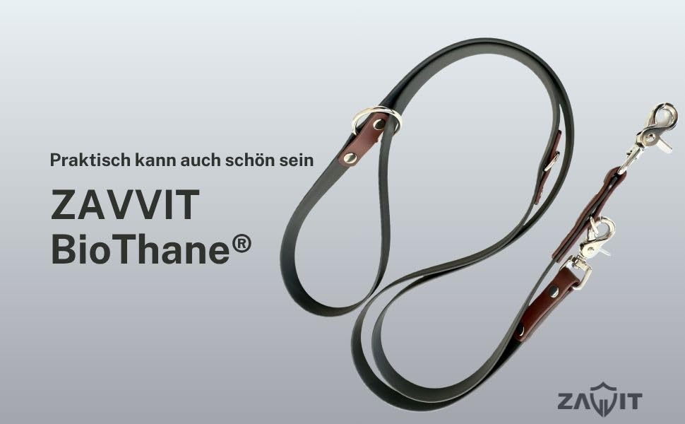 Original Biothane® Hundeleine 2m - Verstellbar, Wasserfest & Robust, mittel-große und kleine Hunde, Scherenkarabiner Bruchlast 160 kg (Schwarz/Braun/Silber)