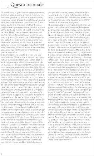 Guida Agli Insetti D'europa. Ediz. A Colori - 12