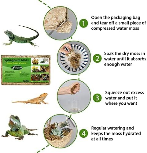 Miniatura 6 de Musgo esfagnum de 2.6 libras para plantas, reptiles de musgo esfagnum para orquídeas para macetas, mezcla de tierra para plantas, musgo de turba,