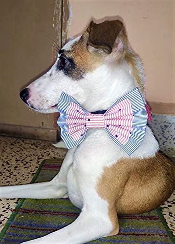 For The Fur Kids Dog Bow Tie: Give Me Wings Double-Layered Bow for Pets (Pink, Blue) (B08CHJND1Q) Amazon Price History, Amazon Price Tracker