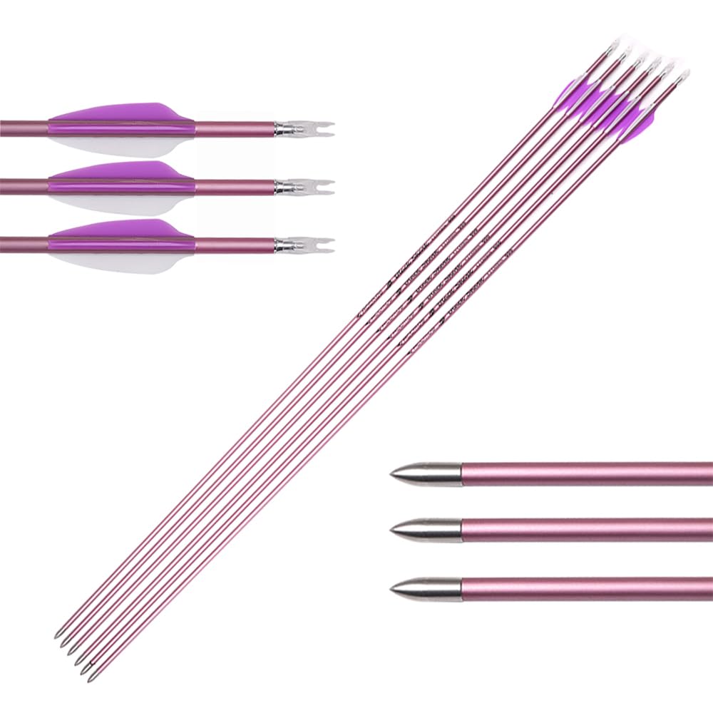ACCMOS 6 Stück Hellviolette Feder Pfeile ID 4,2 mm Spine 1000 Jagdpfeil 28 Zoll Carbonpfeil, für Bogen & Pfeil Schießen (Spine 1000, 28inch)