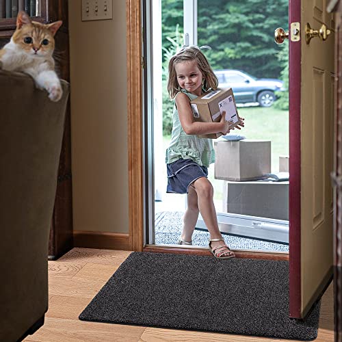 DEXI Fußmatte Innen 60 x 90 cm, rutschfeste Schmutzfangmatte, Maschinenwaschbare Fussmatte, Saugstarke Türmatte, Sauberlaufmatte, Eingangsteppich für Hund, Haustür & Flur, Schwarz-grau