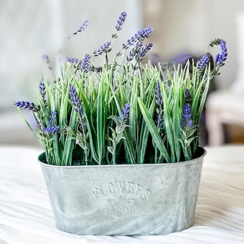 Haute Decor 10 Inch Lavender in Galvanized Metal Pot