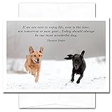 Most Wonderful Day: New Year Holiday Cards - box of 10 cards and envelopes