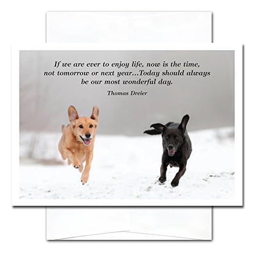 CroninCards New Year Cards-Wonderful Day 10 cards & env Made in USA