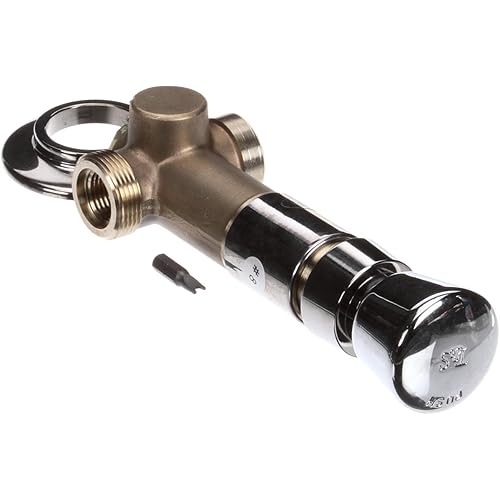 T&S Brass B-1029 Concealed Straight Valve, Slow Self Closing, Vandal Resistant, Blank Index, Chrome