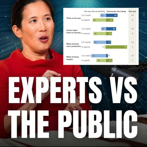 We're completely out of touch with what the public thinks about AI | Dr Yam, Pew Research Center