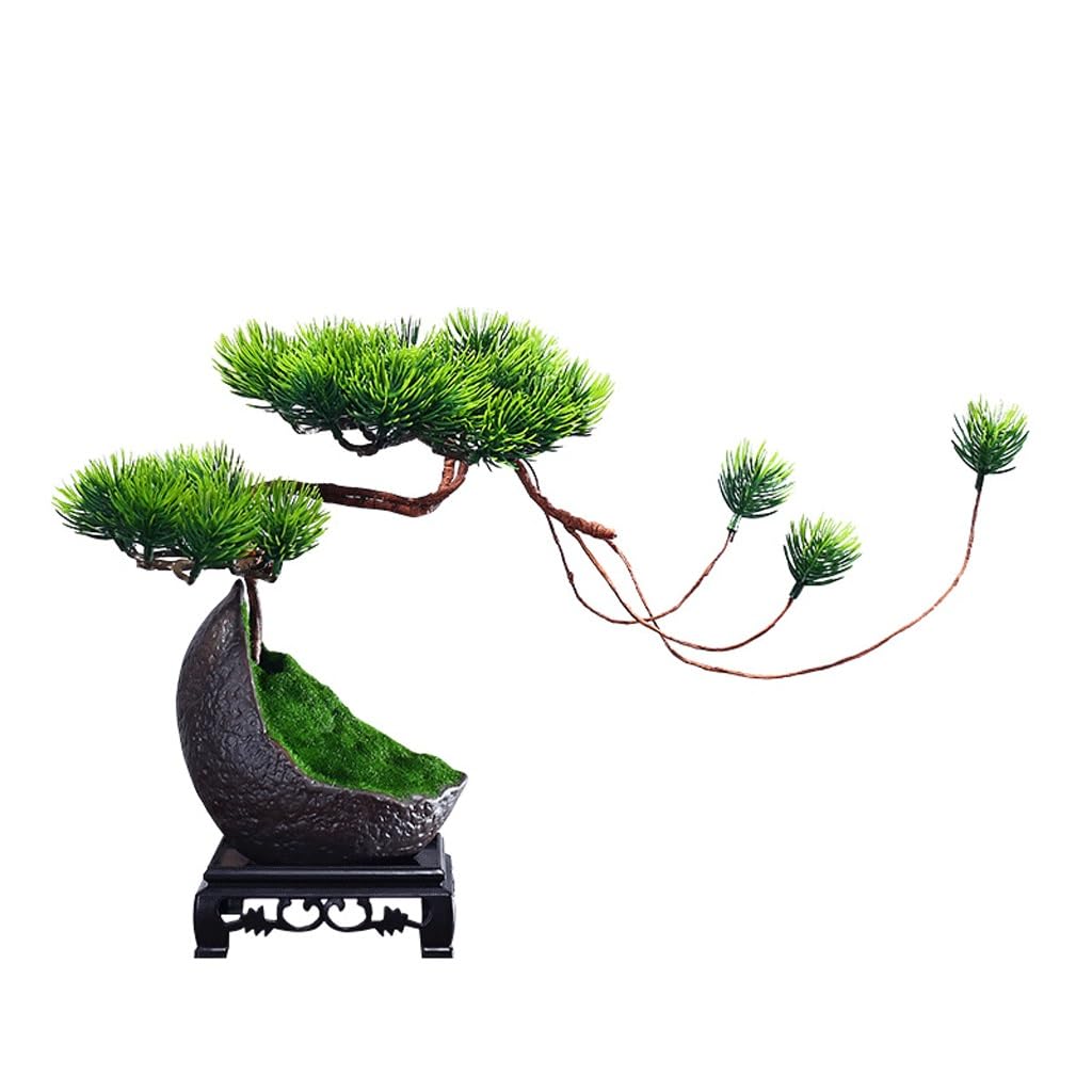Mesa de porche de estilo antiguo con selectas plantas verdes decorativas