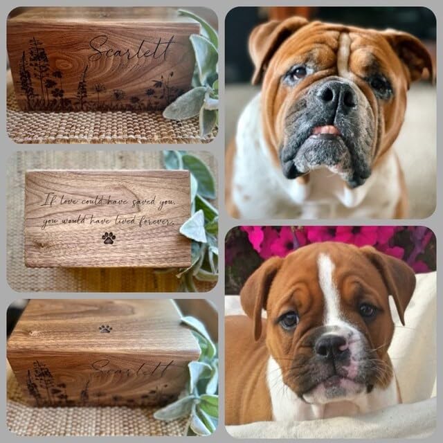 The Maryam Crafts Personalisierte Haustier-Urne für Hundeasche, gravierte Holz-Gedenkbox für Hunde, Katzen, Kleintiere, individueller Name, Datum, Haustierverlust, klein, mittel, groß