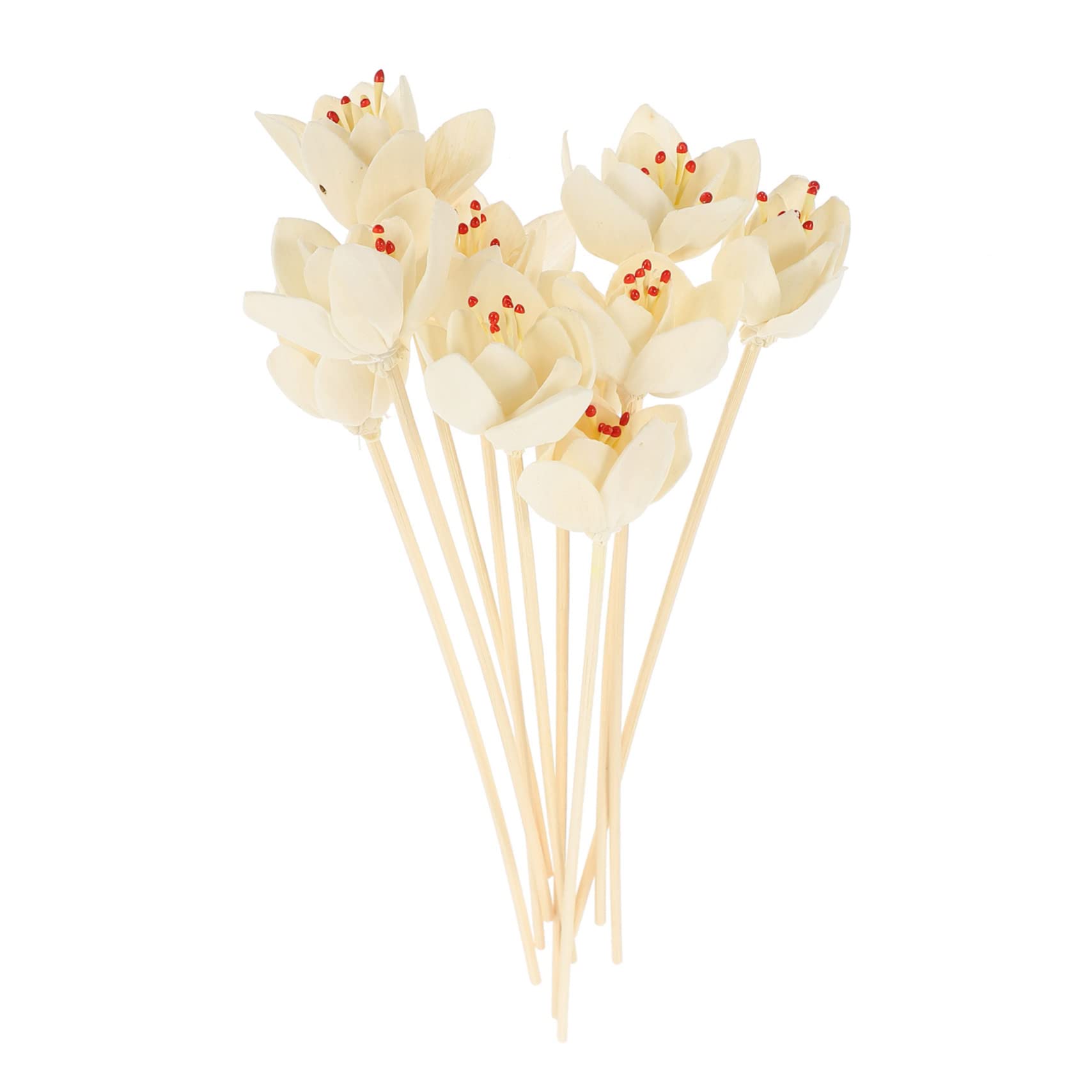 Cabilock 40 STK Aromatherapie-Rattan wohnungseinrichtung wohnungsdeko beige Geschenkidee Diffusoren zum Selbermachen ätherisches Öl Öl-Diffusor-Sticks Blumen-Diffusor-Sticks hölzern